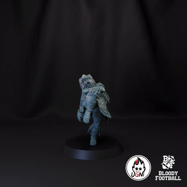 Blitzer 01