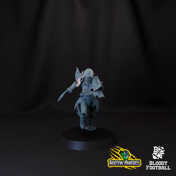 Blitzer 01