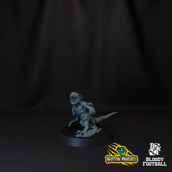 Skink 07