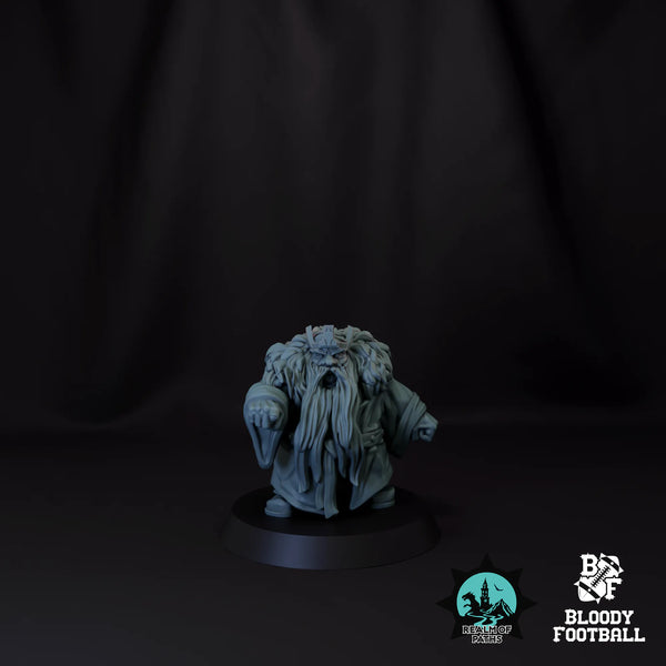 Dwarf Coach 01