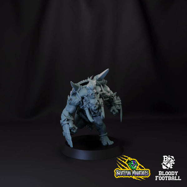 Blitzer 01