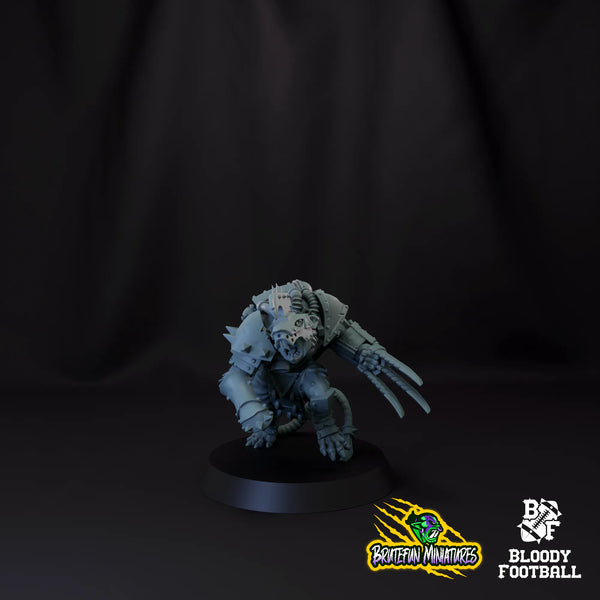 Blitzer 02