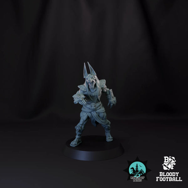Blitzer 01