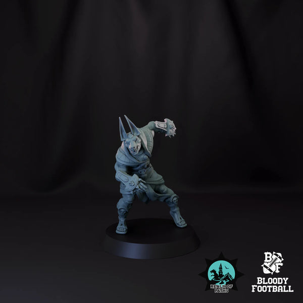 Blitzer 02