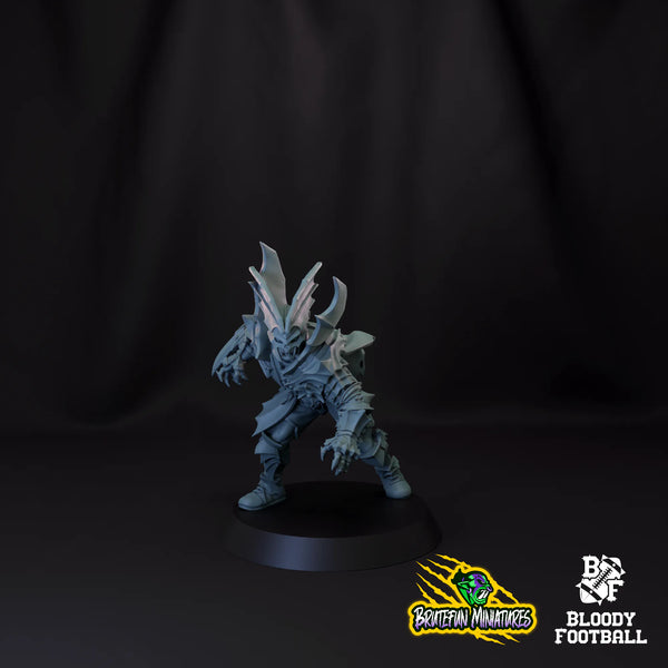 Blitzer 03