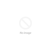 Akhorne the Squirrel 01